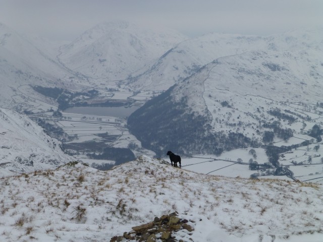 Morgan over Brotherswater